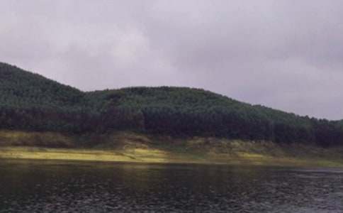 ˮ������Ӧ��Ԥ��15ƪ[��]