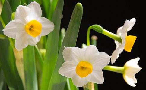 ��ѡˮ�ɵ�����300����ƪ