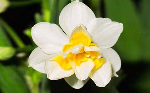 ˮ�ɻ��ĳɳ��ռ�