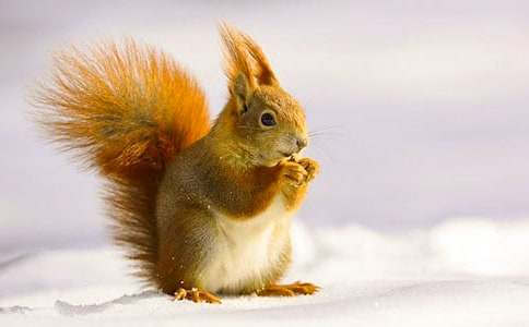 С�����С����˯ǰ����