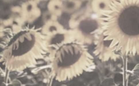 ̫����������ƪ