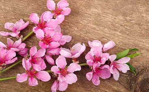 ��ѡ�һ�������3ƪ