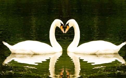 ���������ۺ��