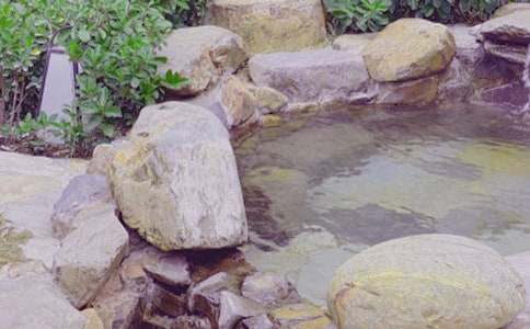 ��Ȫ����500��