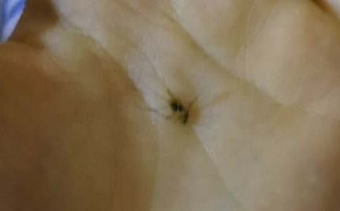 Сѧ��������600�־�ƪ