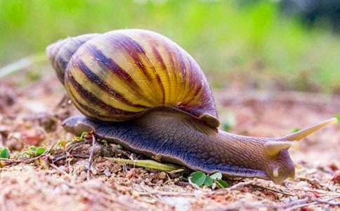 �۲���ţ�����꼶����