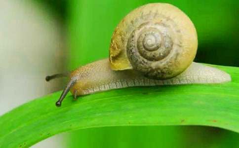 ��ţ���꼶���ĺϼ�10ƪ