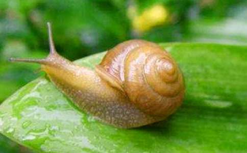 �й���ţ�ռǷ��Ļ����ƪ