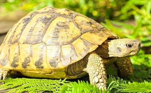 ����С�ڹ���꼶����300��7ƪ