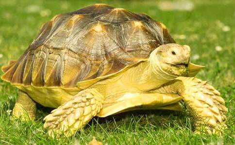 С�ڹ���꼶���Ļ���ƪ