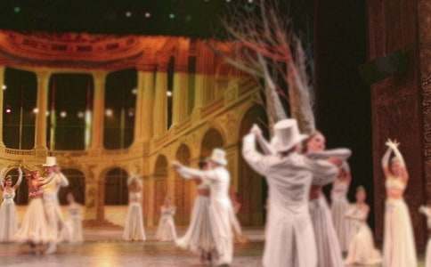 �赸�����ƻ�