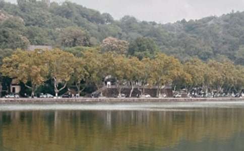 ��ʵ�á����꼶��������300�ּ���7ƪ