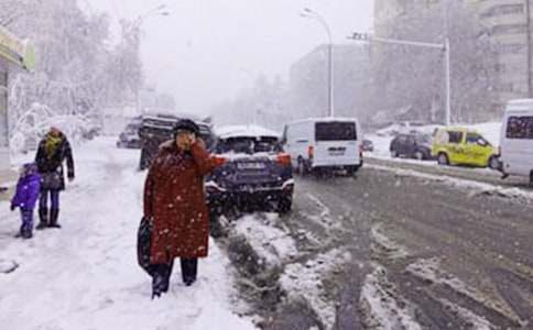 下雪了五年级作文