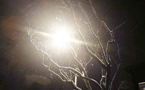 ���ر�����ѩ���ռ�