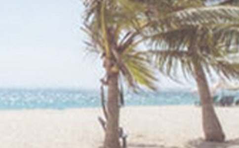 夏季防汛应急预案