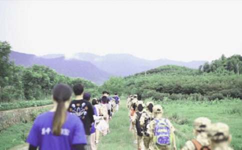 ��ʵ�á�����Ӫ������400��3ƪ