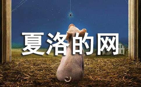 ��������ۺ��