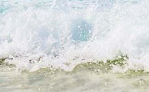 四年级的夏天作文300字10篇