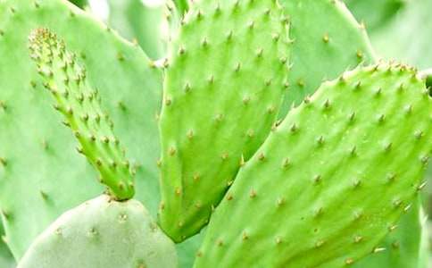 ���������꼶����300��