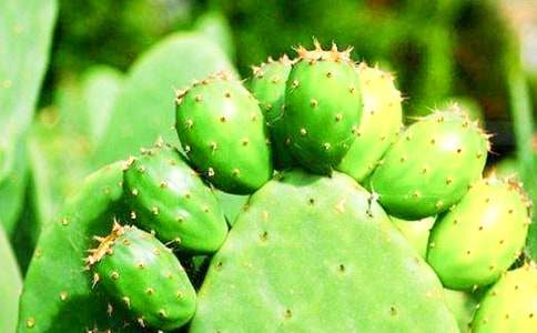 �ҵ�ֲ�������������������꼶