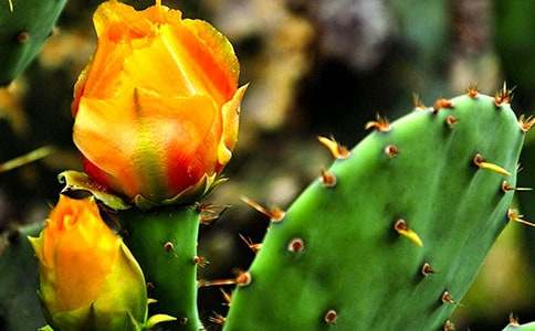 ���꼶����������