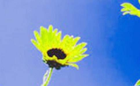 ���꼶���տ����ĳ��á�3ƪ��