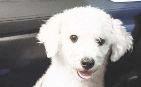 [����]С��200������