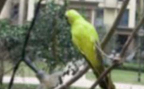 С������500�֡�ͨ�á�