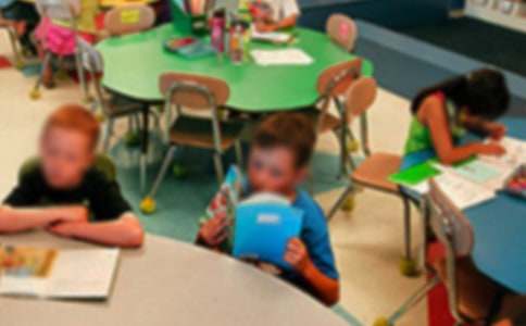 ��������Сѧ��������������3ƪ