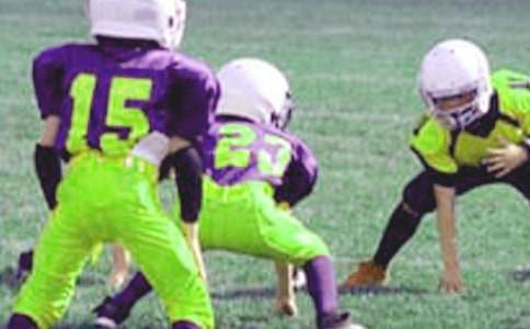 ���꼶Сѧ�����ҽ������㣨15ƪ��