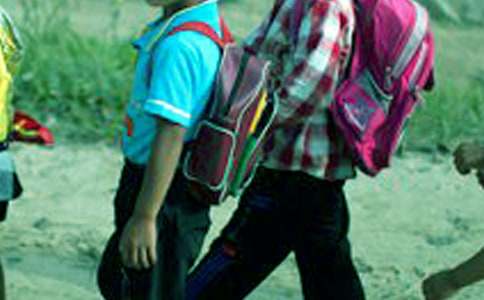 学生发言稿小学生必备