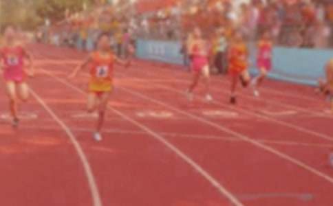 ��ѡСѧ�˶������Ļ����ƪ