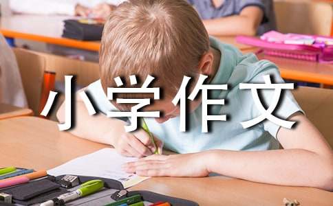 【精选】我们小学作文600字4篇