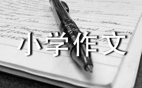 实用的小学作文300字(优选)