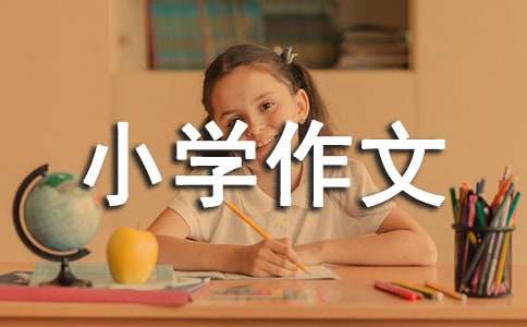 我们的开心果小学作文
