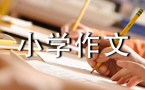 精选小学作文600字3篇