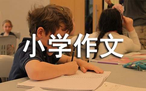 我喜爱小动物小学作文