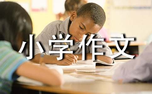 实用的美丽小学作文【实用】
