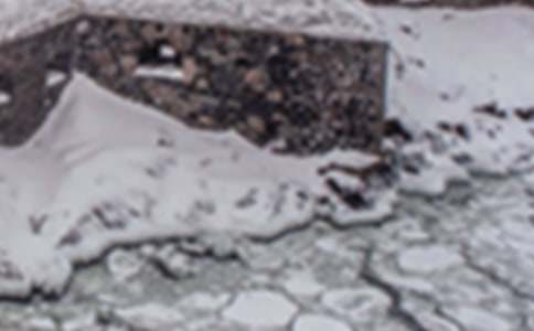 暴雪灾害应急预案