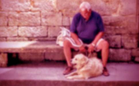 ��үү��һ����(����15ƪ)