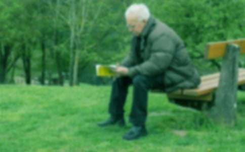 爷爷的菜园作文300字3篇