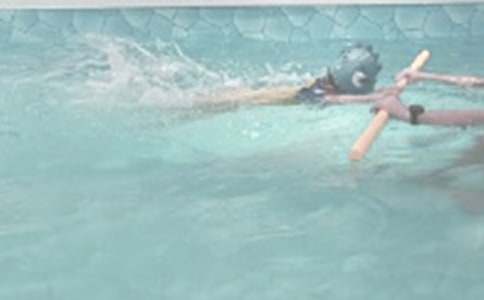 ��ӾСѧ����15ƪ