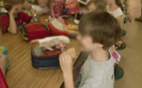 �׶�԰�����ջ�ܽ�(���15ƪ)