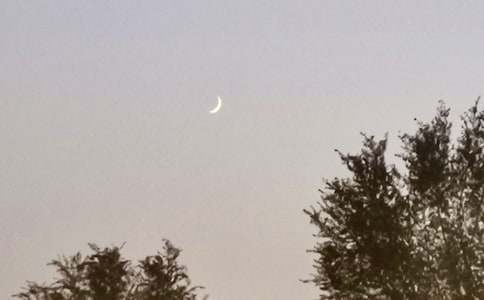 精选月亮的作文300字汇编8篇