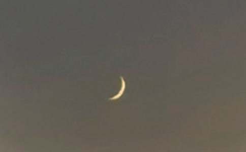 ��ѡ����������300�ֽ�����ƪ