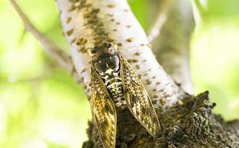 ����֪��Сѧ����7ƪ