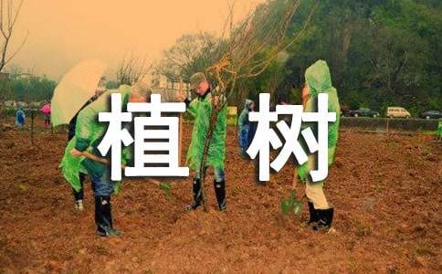 ��ʵ�á�ֲ�����꼶���ĺϼ�ʮƪ