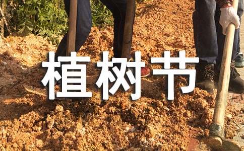 �����׶�԰ֲ���ڻ�ܽ�