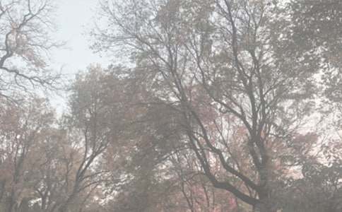 ֲ��԰_���ֵ�һ��������400��