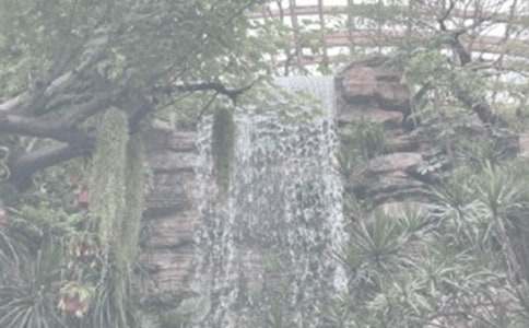 ֲ��԰����